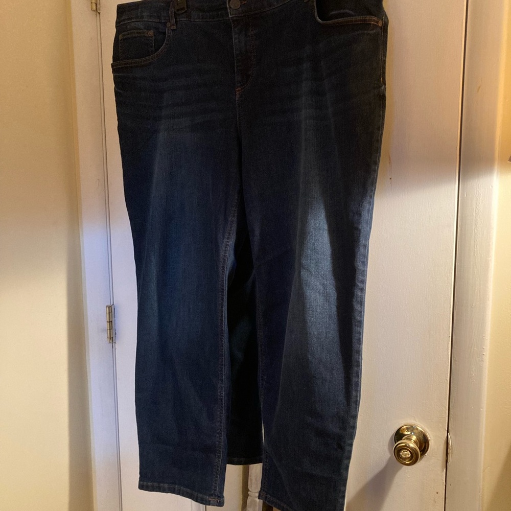 Terra & Sky Petite Jeans